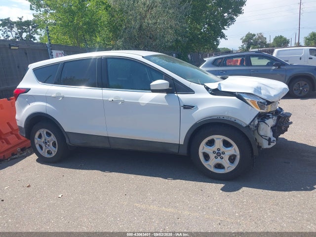 Ford 2019 2019 1FMCU0G97KUB33481 Image 12