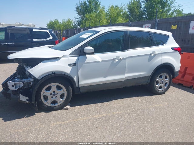 Ford 2019 2019 1FMCU0G97KUB33481 Image 13