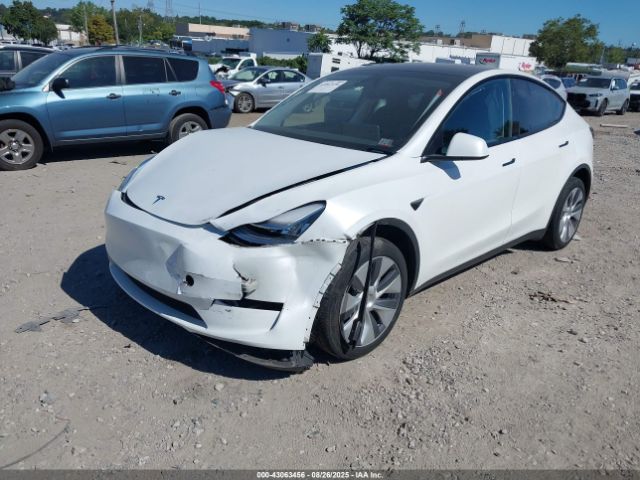2023 TESLA MODEL Y 7SAYGDEEXPA149053 Photo 1