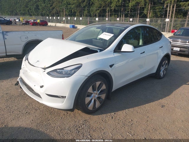 2022 TESLA MODEL Y 7SAYGDEEXNF361564 Photo 1