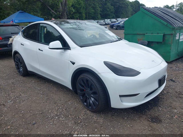 2023 TESLA MODEL Y 7SAYGDEF3PF697374 Photo 0