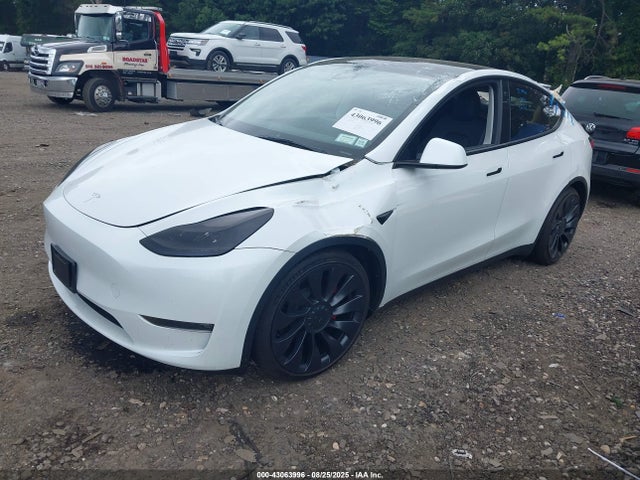 2023 TESLA MODEL Y 7SAYGDEF3PF697374 Photo 1