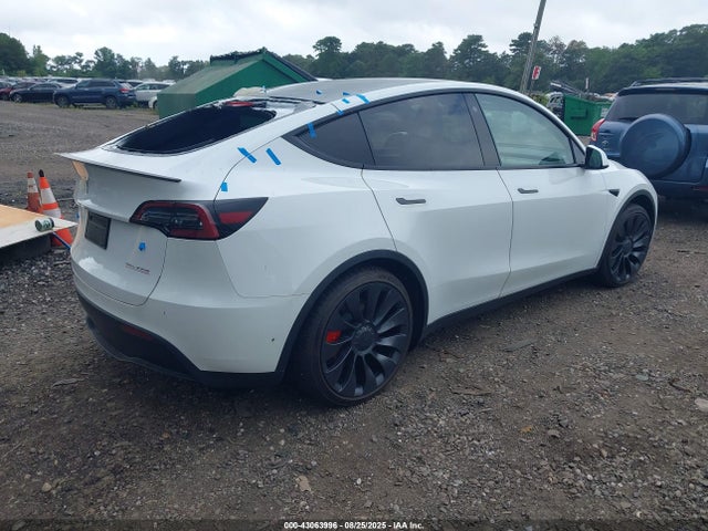 2023 TESLA MODEL Y 7SAYGDEF3PF697374 Photo 3