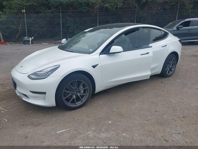 2022 TESLA MODEL 3 5YJ3E1EBXNF260784 Photo 1