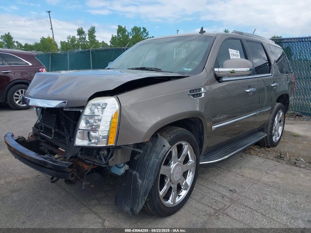 2012 CADILLAC ESCALADE 1GYS4BEF5CR116133 Photo 1