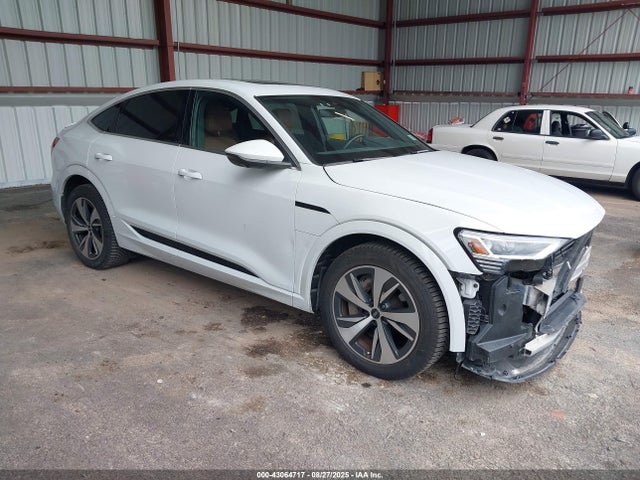 2024 AUDI Q8 E-TRON WA1CAAGE2RB024796 Photo 0