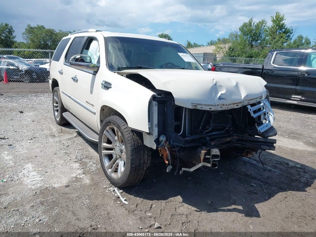 2011 CADILLAC ESCALADE 1GYS3AEF2BR305494 Photo 0