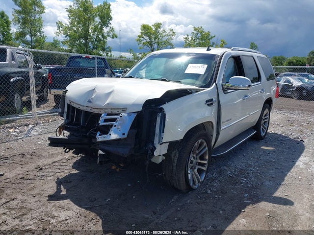 2011 CADILLAC ESCALADE 1GYS3AEF2BR305494 Photo 1