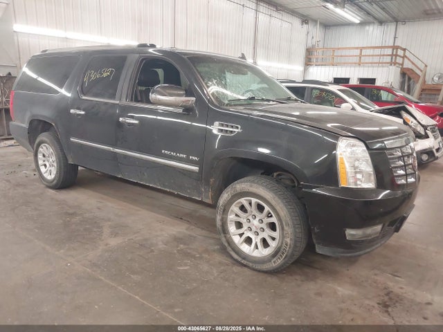 2010 CADILLAC ESCALADE ESV 1GYUKJEF4AR216780 Photo 0