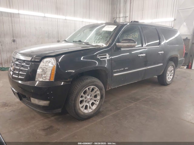 2010 CADILLAC ESCALADE ESV 1GYUKJEF4AR216780 Photo 1