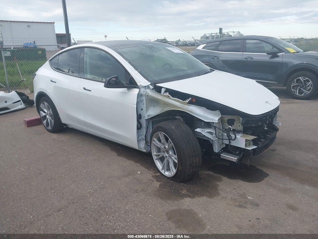 2024 TESLA MODEL Y 7SAYGAEE6RF066823 Photo 0