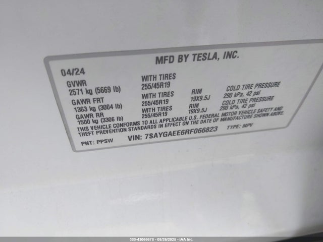 2024 TESLA MODEL Y 7SAYGAEE6RF066823 Photo 8
