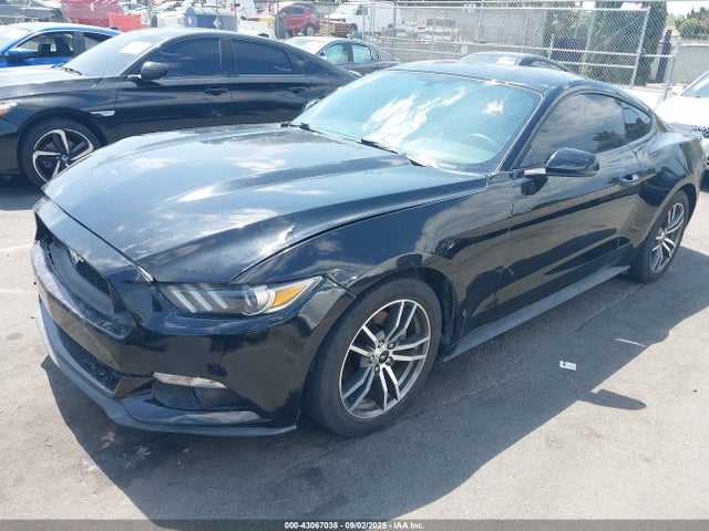 Ford 2016 2016 1FA6P8TH1G5274932 Image 2