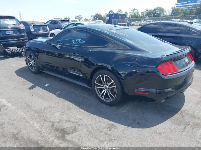 Ford 2016 2016 1FA6P8TH1G5274932 Image 3