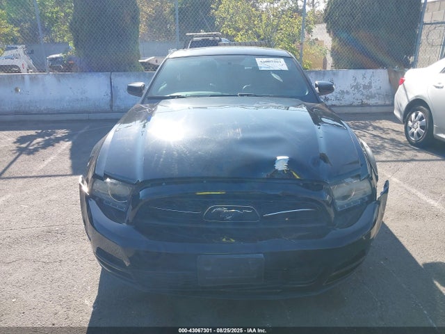 1ZVBP8AM6E5327532 Ford 2014