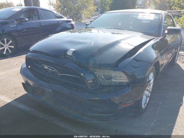 1ZVBP8AM6E5327532 Ford 2014