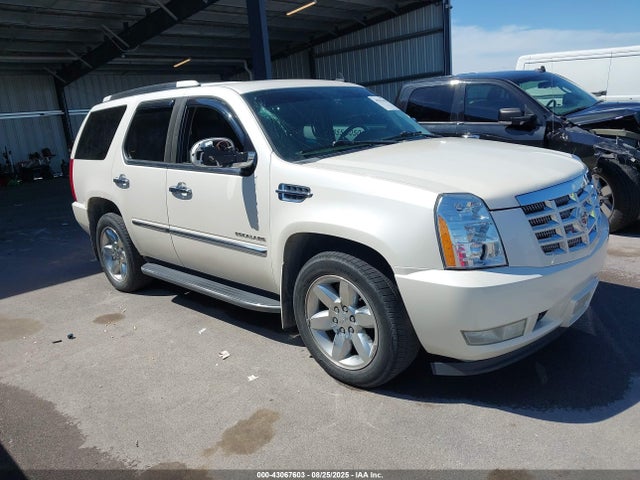 2010 CADILLAC ESCALADE 1GYUKBEF4AR215666 Photo 0