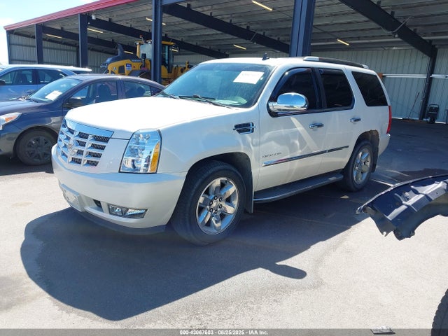 2010 CADILLAC ESCALADE 1GYUKBEF4AR215666 Photo 1