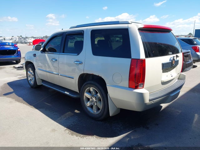 2010 CADILLAC ESCALADE 1GYUKBEF4AR215666 Photo 2