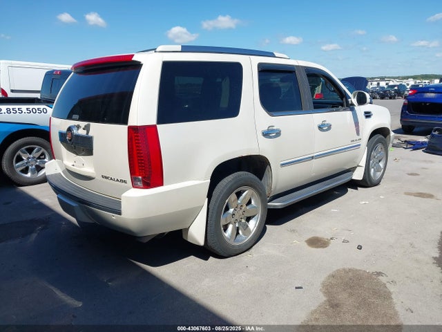2010 CADILLAC ESCALADE 1GYUKBEF4AR215666 Photo 3