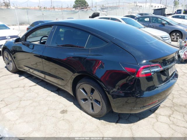 2023 TESLA MODEL 3 5YJ3E1EB3PF415758 Photo 2