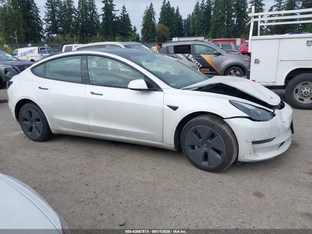 Tesla MODEL 3 2021 5YJ3E1EA5MF051636 Image 12