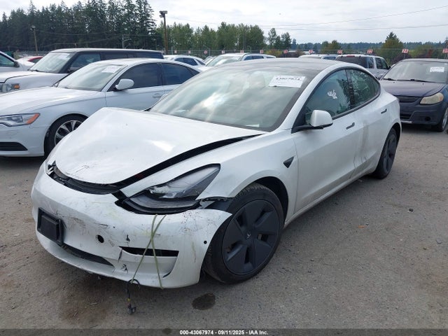 Tesla MODEL 3 2021 5YJ3E1EA5MF051636 Image 2
