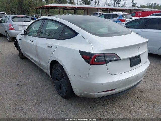 Tesla MODEL 3 2021 5YJ3E1EA5MF051636 Image 3