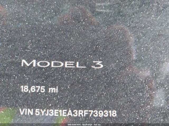 Aukcja sprzedaży 2024 Tesla Model 3 Long Range Dual Motor All-wheel Drive/rear-wheel Drive, vin: 5YJ3E1EA3RF739318, numer aukcji: 43067975