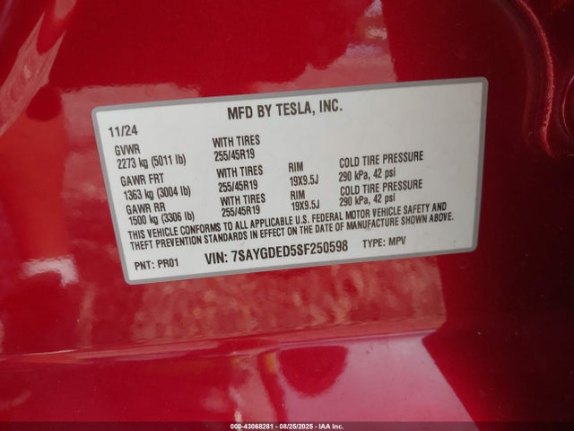 2025 TESLA MODEL Y 7SAYGDED5SF250598 Photo 8