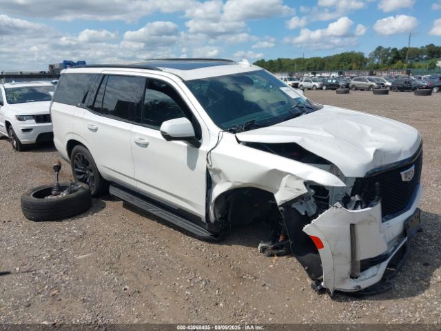 2024 CADILLAC ESCALADE 1GYS4EKL7RR192571