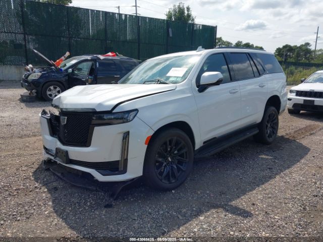 2024 CADILLAC ESCALADE 1GYS4EKL7RR192571 Photo 1