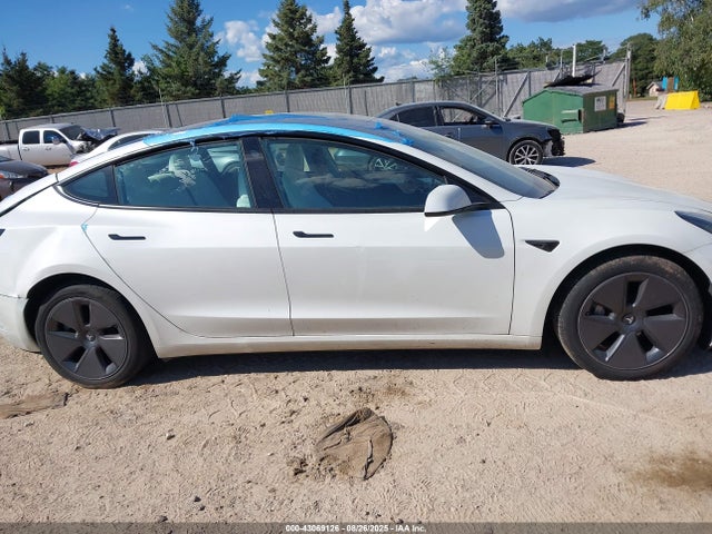 Tesla MODEL 3 2023 5YJ3E1EA8PF607247 Image 12