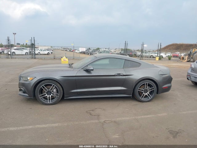 Ford 2015 2015 1FA6P8TH7F5343265 Image 13