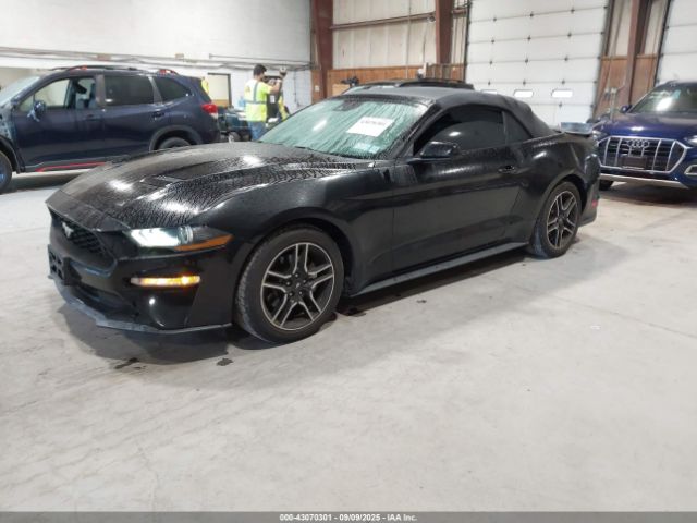 2021 FORD MUSTANG 1FATP8UHXM5104291 Photo 1