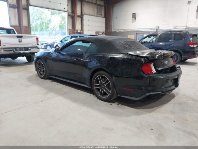 2021 FORD MUSTANG 1FATP8UHXM5104291 Photo 2
