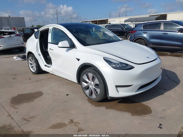 2023 TESLA MODEL Y 7SAYGDEE9PA081795 Photo 0