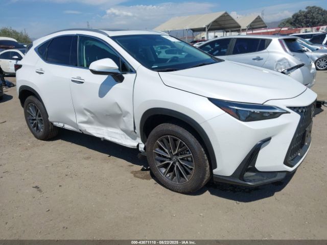 2025 LEXUS NX 250 2T2ADCAZ1SC026781