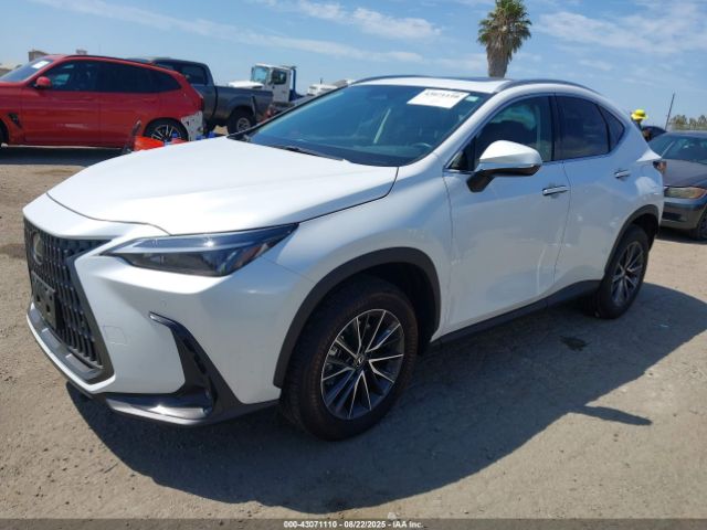 2025 LEXUS NX 250 2T2ADCAZ1SC026781 Photo 1