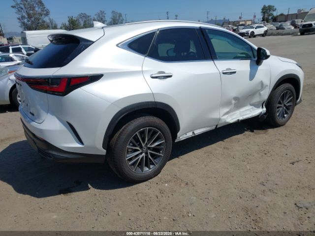 2025 LEXUS NX 250 2T2ADCAZ1SC026781 Photo 3