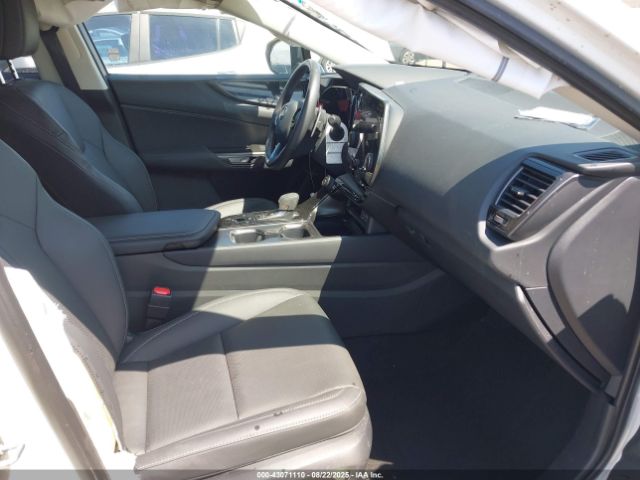 2025 LEXUS NX 250 2T2ADCAZ1SC026781 Photo 4