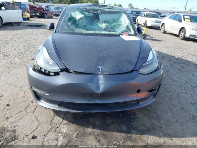 2023 TESLA MODEL 3 5YJ3E1EA6PF542687 Photo 5
