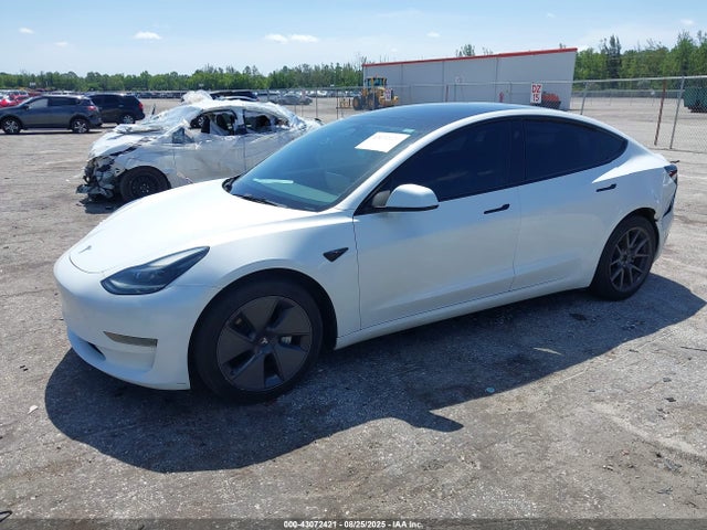 2023 TESLA MODEL 3 5YJ3E1EA6PF502075 Photo 1