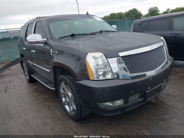 2010 CADILLAC ESCALADE 1GYUKBEFXAR133392