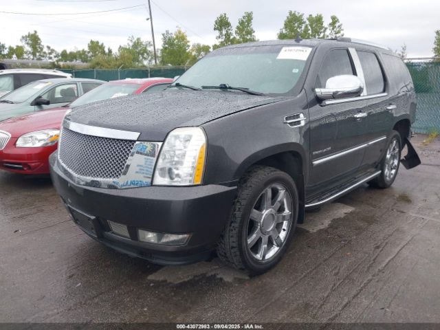 2010 CADILLAC ESCALADE 1GYUKBEFXAR133392 Photo 1