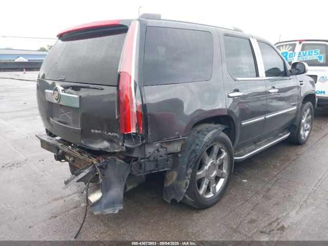 2010 CADILLAC ESCALADE 1GYUKBEFXAR133392 Photo 3
