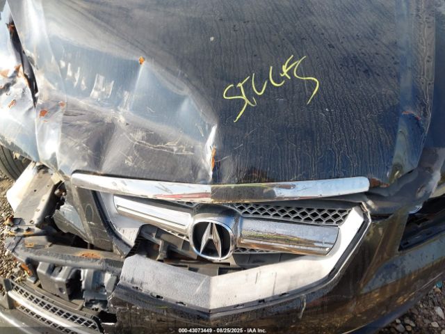 2008 ACURA TL 19UUA76558A049776 Photo 9
