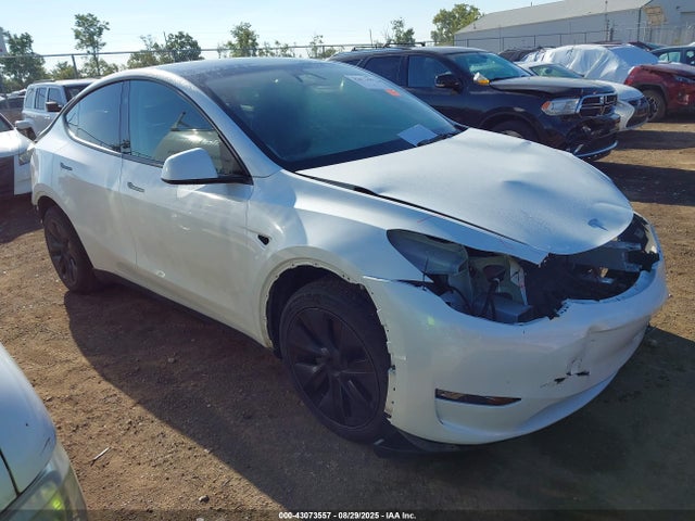 2025 TESLA MODEL Y 7SAYGDED0SF255028 Photo 0