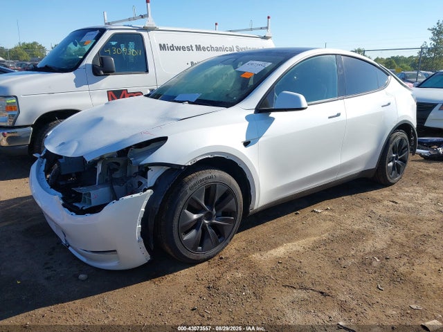 2025 TESLA MODEL Y 7SAYGDED0SF255028 Photo 1