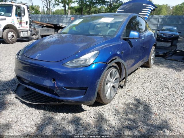 2021 TESLA MODEL Y 5YJYGDEE7MF079491 Photo 1
